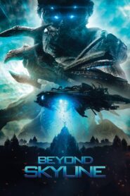 Beyond Skyline