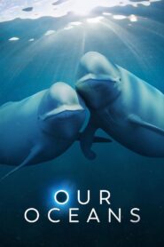 Our Oceans: Season 1