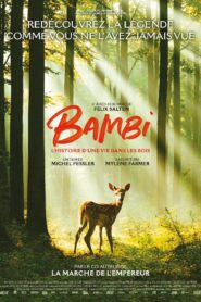 Bambi A Tale Of Life In The Woods