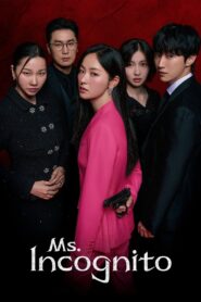 Ms. Incognito: Season 1
