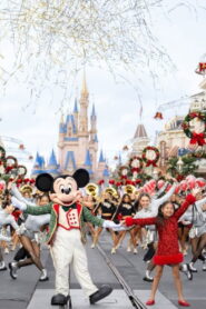 Disney Parks Magical Christmas Day Parade